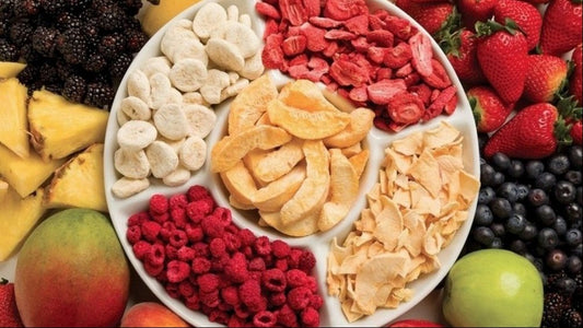 What Is Freeze Drying and Why It’s Better Than Other Preservation Methods?